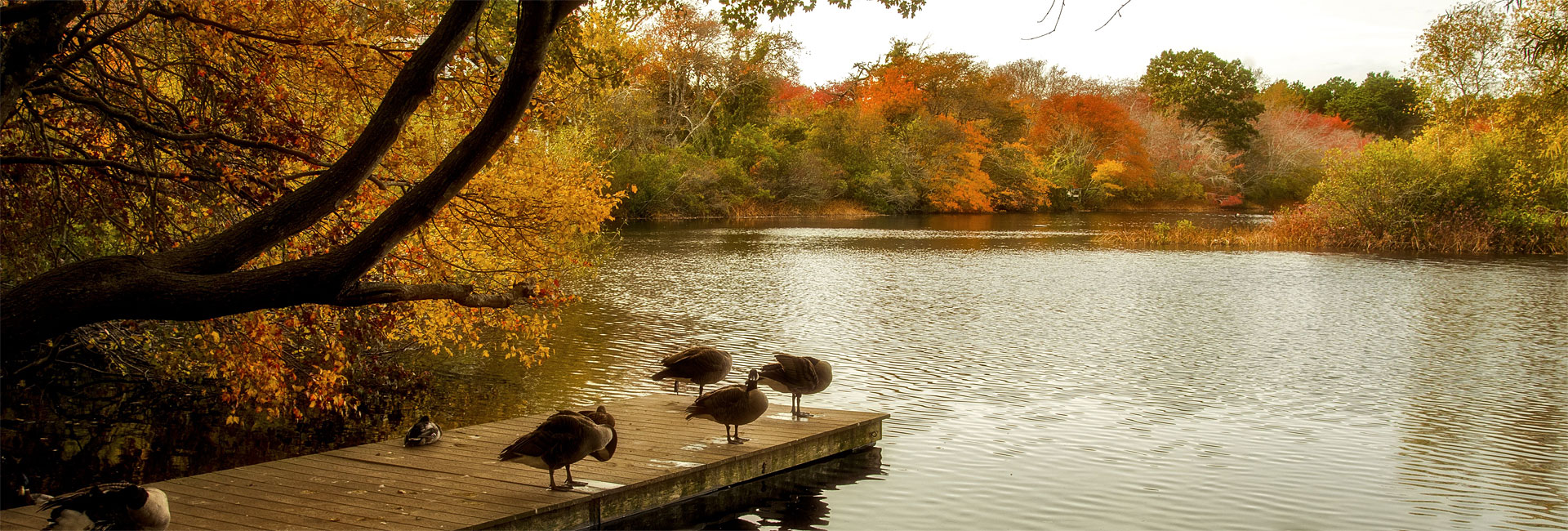 Home Quogue Wildlife Refuge