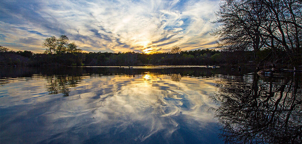 Sunset Pond by Robert Seifert