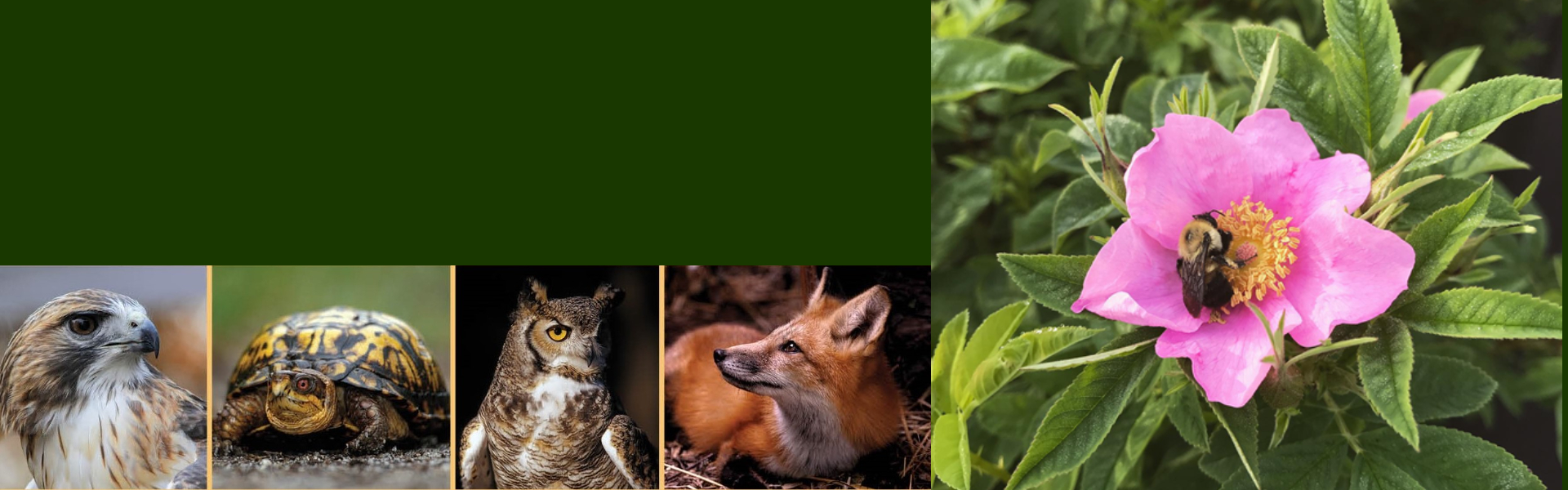 Home Quogue Wildlife Refuge