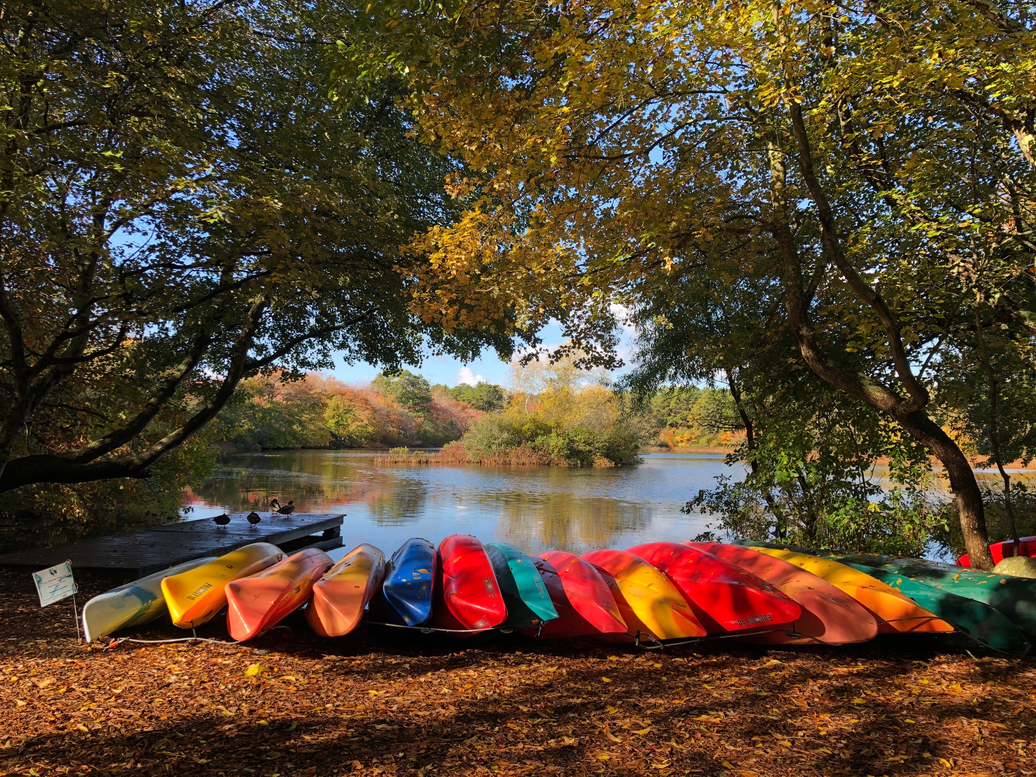 foliage paddle kayaks