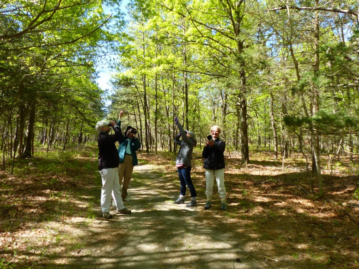 Birding at Quogue Wildlife Refuge