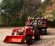Tractor-Ride