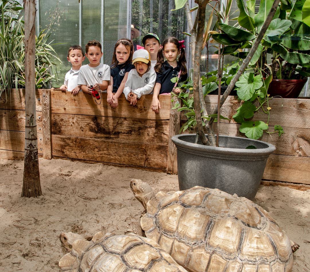 kids-in-greenhouse