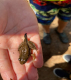 Screenshot-2025-02-06-092557