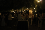 IMG_4982-Large