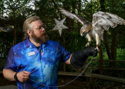 Jake-Kommer-and-Red-Tailed-Hawk-Large
